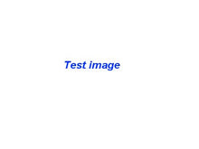 Load image into Gallery viewer, Boyfriend Tee
