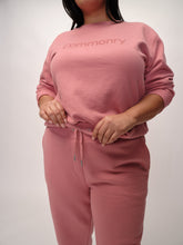 Load image into Gallery viewer, Common Standard Cotton Track Pant
